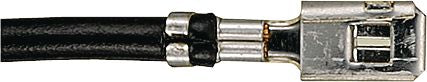 DV_ZoomOriginal_I_KT12948.jpg