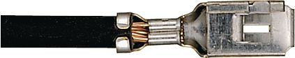 DV_ZoomOriginal_I_KT12950.jpg