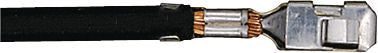 DV_ZoomOriginal_I_KT12952.jpg
