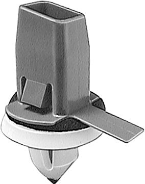 DV_ZoomOriginal_I_KT12977.jpg