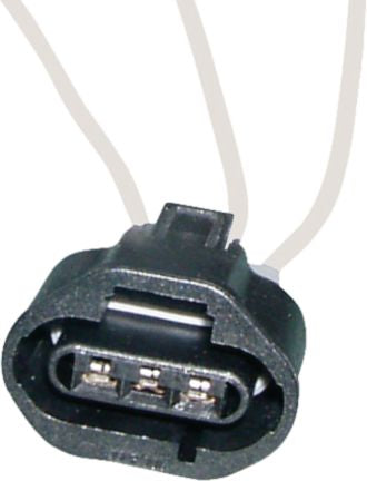 DV_ZoomOriginal_I_KT13403.jpg