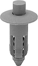 DV_ZoomOriginal_I_KT13530.jpg
