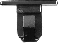 DV_ZoomOriginal_I_KT13542.jpg