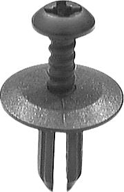 DV_ZoomOriginal_I_KT13558.jpg