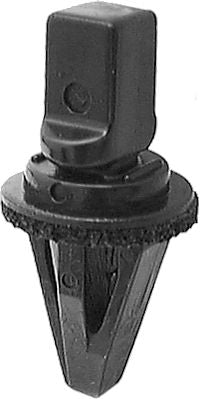 DV_ZoomOriginal_I_KT13607.jpg