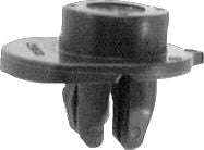 DV_ZoomOriginal_I_KT13676.jpg