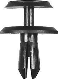 DV_ZoomOriginal_I_KT13713.jpg