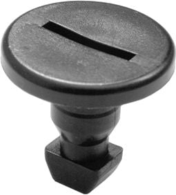 DV_ZoomOriginal_I_KT13786.jpg