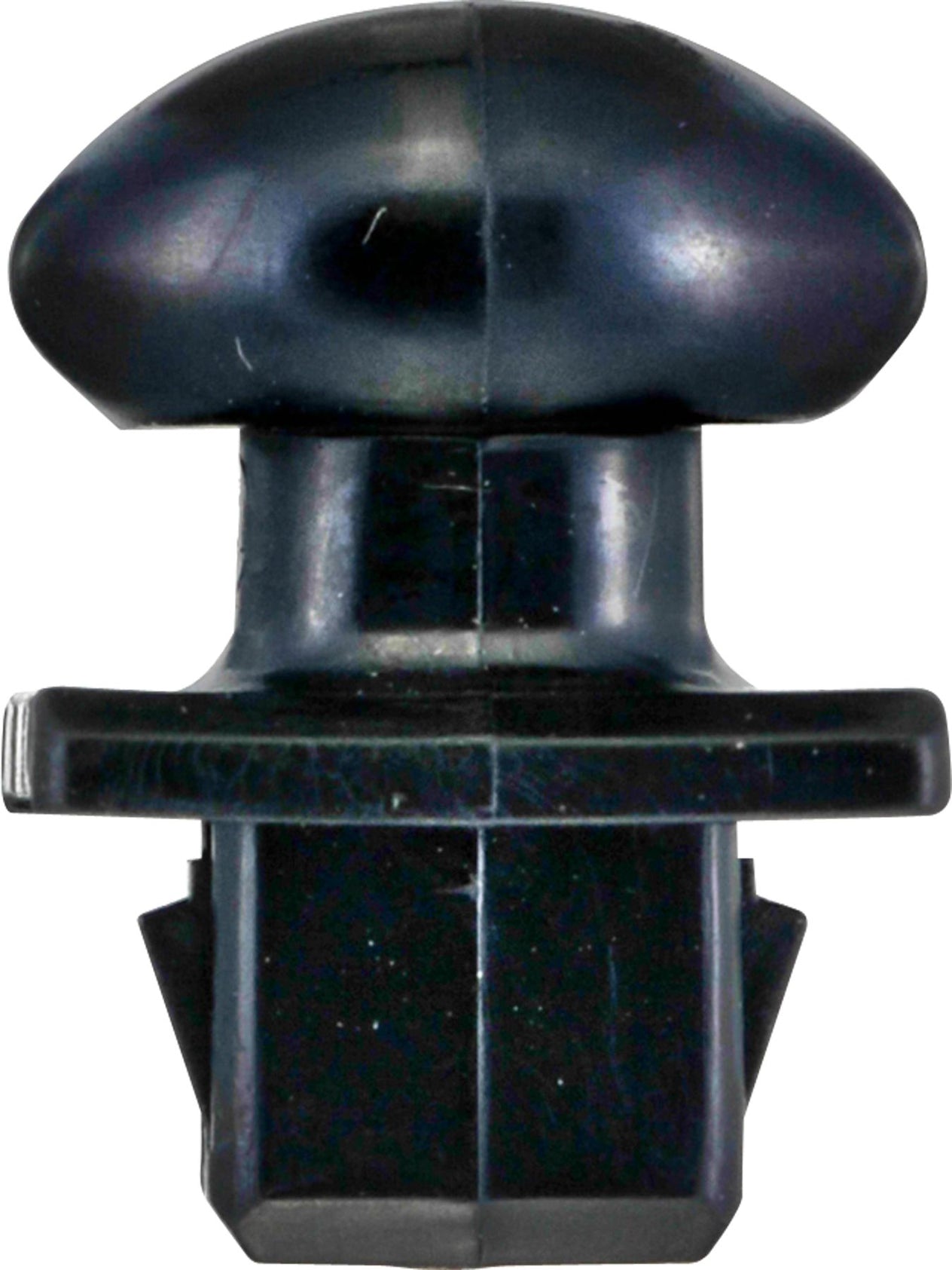 DV_ZoomOriginal_I_KT13794.jpg