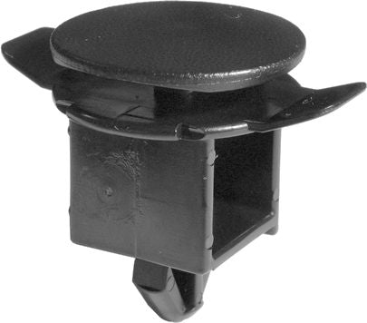 DV_ZoomOriginal_I_KT13825.jpg
