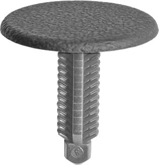 DV_ZoomOriginal_I_KT14298.jpg