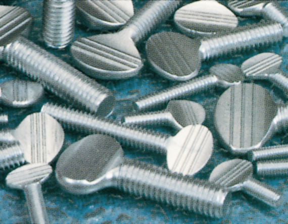Thumb Screw Assortment 155Pcs – Kent Automotive