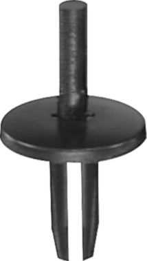 DV_ZoomOriginal_I_P80634_TP1.jpg