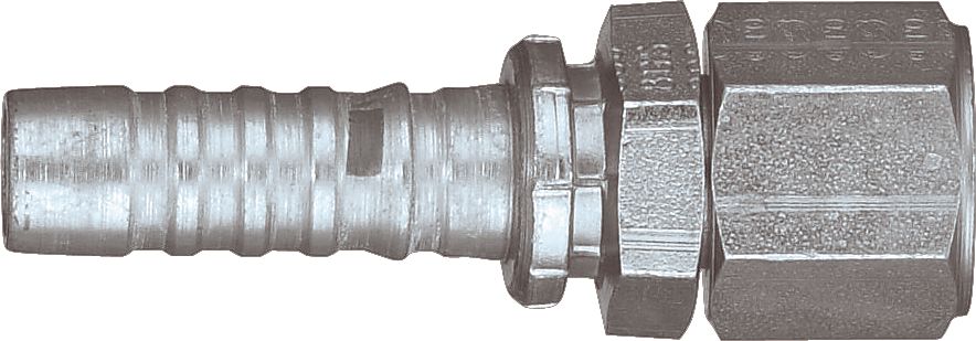 DV_ZoomOriginal_P_10660.jpg
