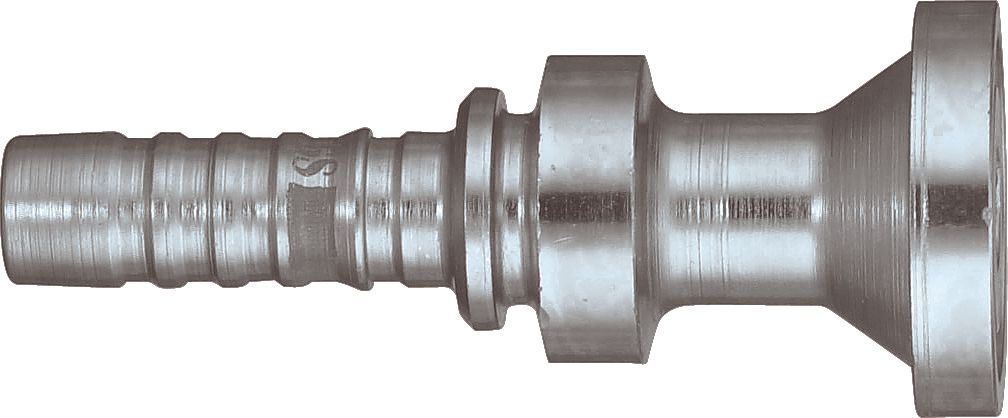 DV_ZoomOriginal_P_10669.jpg