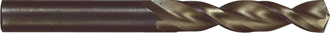 DV_ZoomOriginal_P_11037.jpg