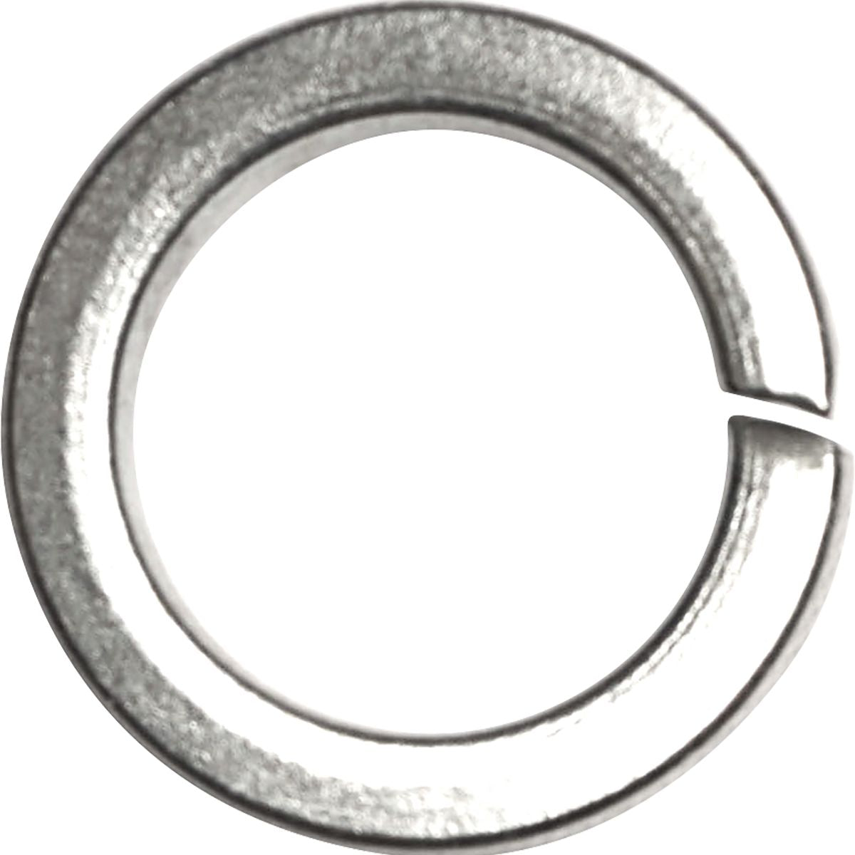 DV_ZoomOriginal_P_1613.jpg