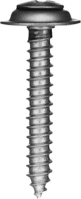 DV_ZoomOriginal_P_1637.jpg