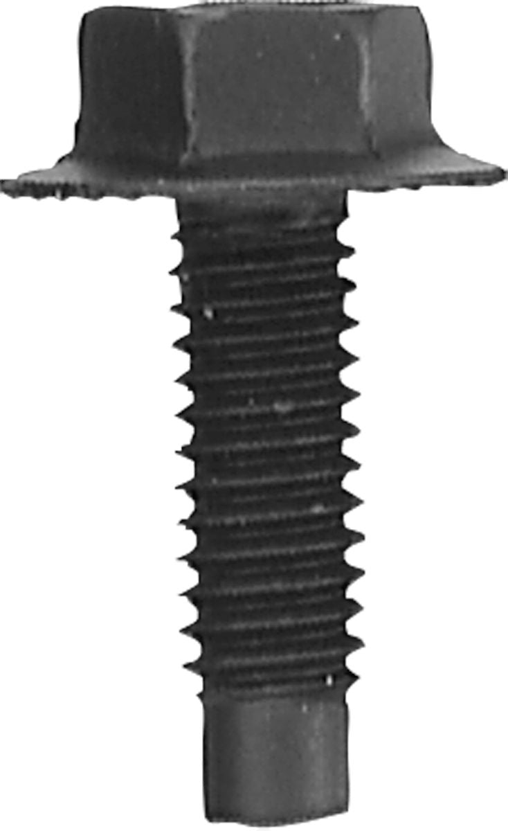 DV_ZoomOriginal_P_21771.jpg