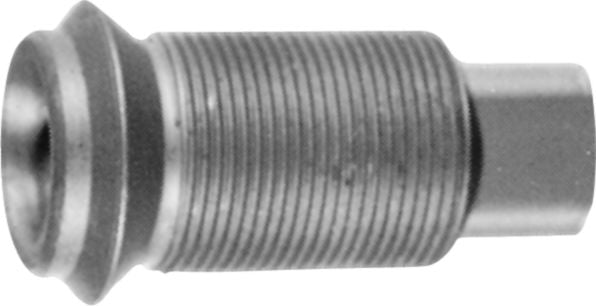 DV_ZoomOriginal_P_2604.jpg