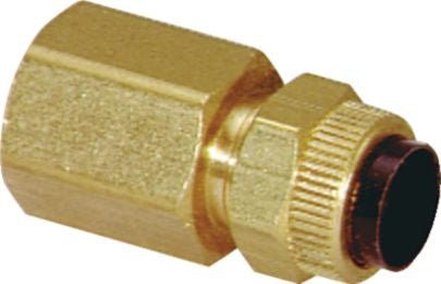 DV_ZoomOriginal_P_30971.jpg