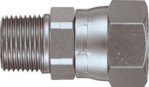 DV_ZoomOriginal_P_31278.jpg