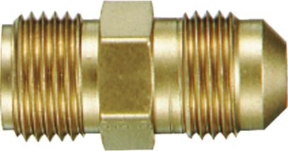 DV_ZoomOriginal_P_31744.jpg