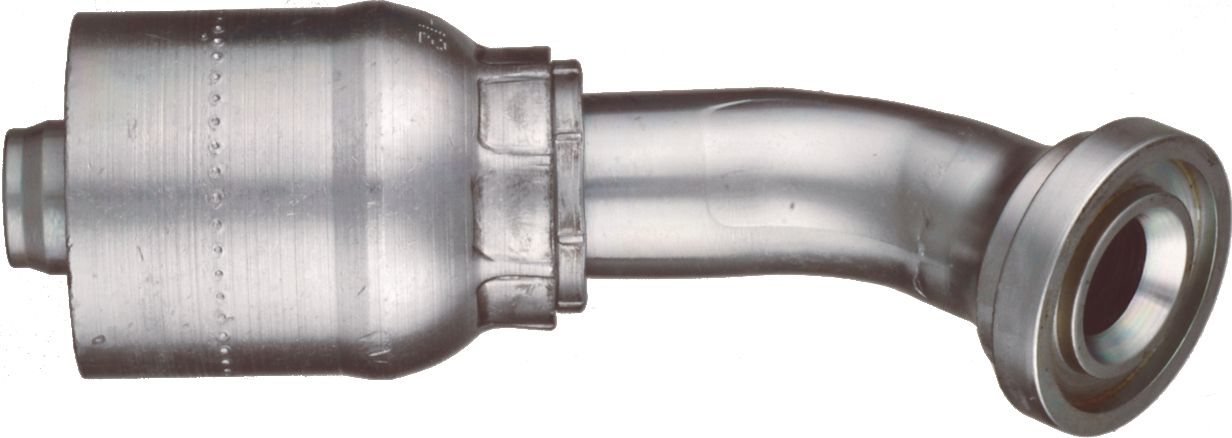 DV_ZoomOriginal_P_35268.jpg