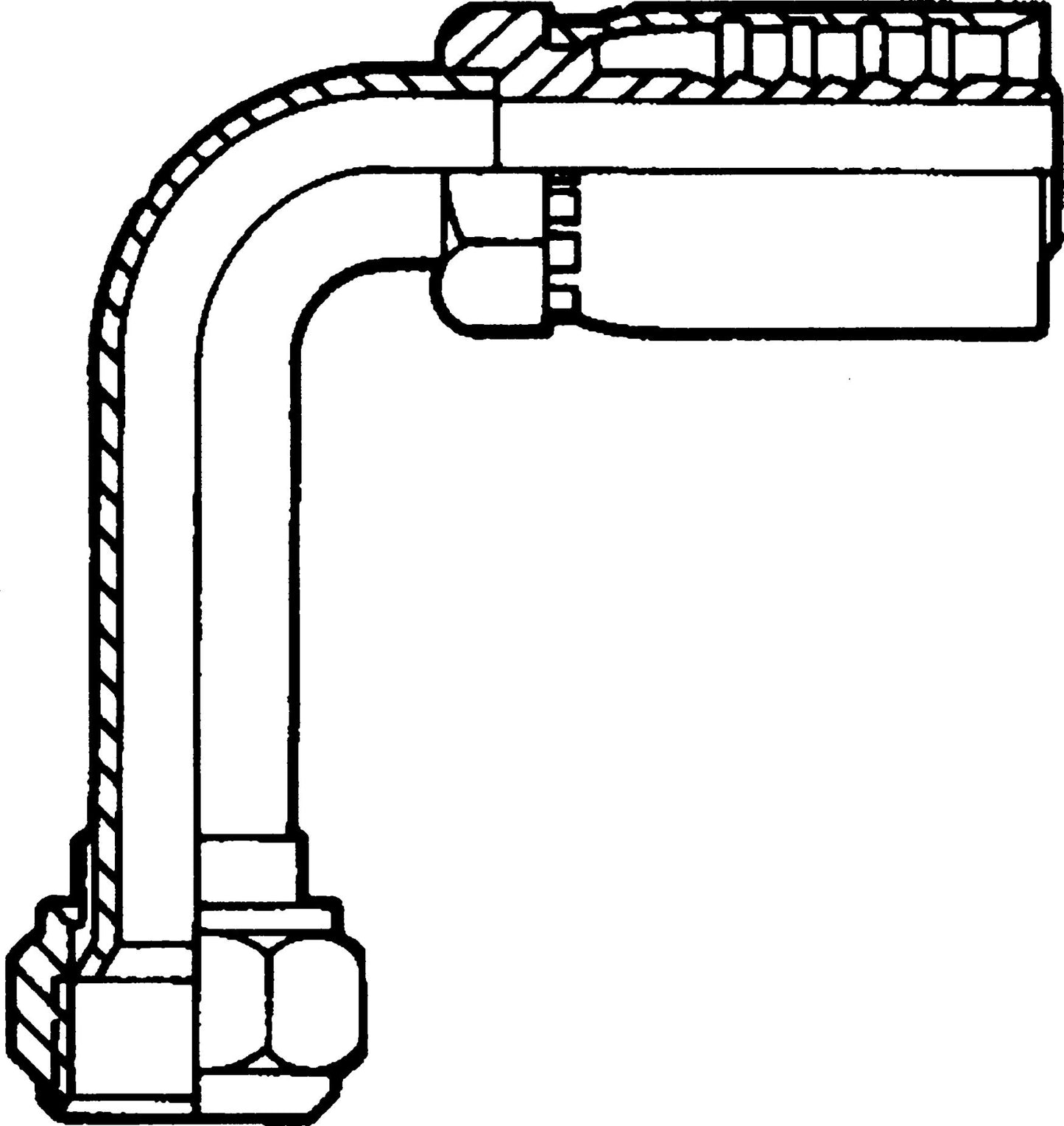 DV_ZoomOriginal_P_35304.jpg