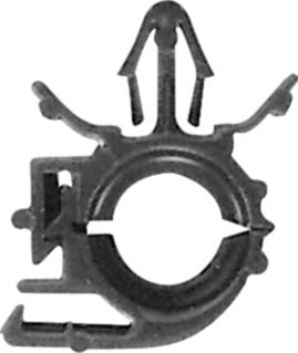 DV_ZoomOriginal_P_3698.jpg