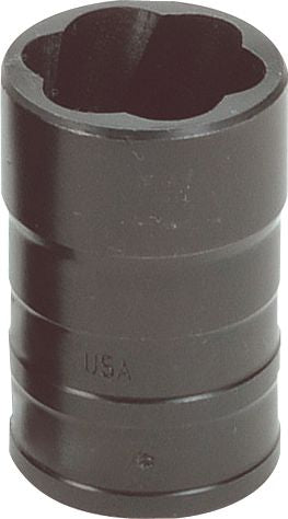 DV_ZoomOriginal_P_37511.jpg