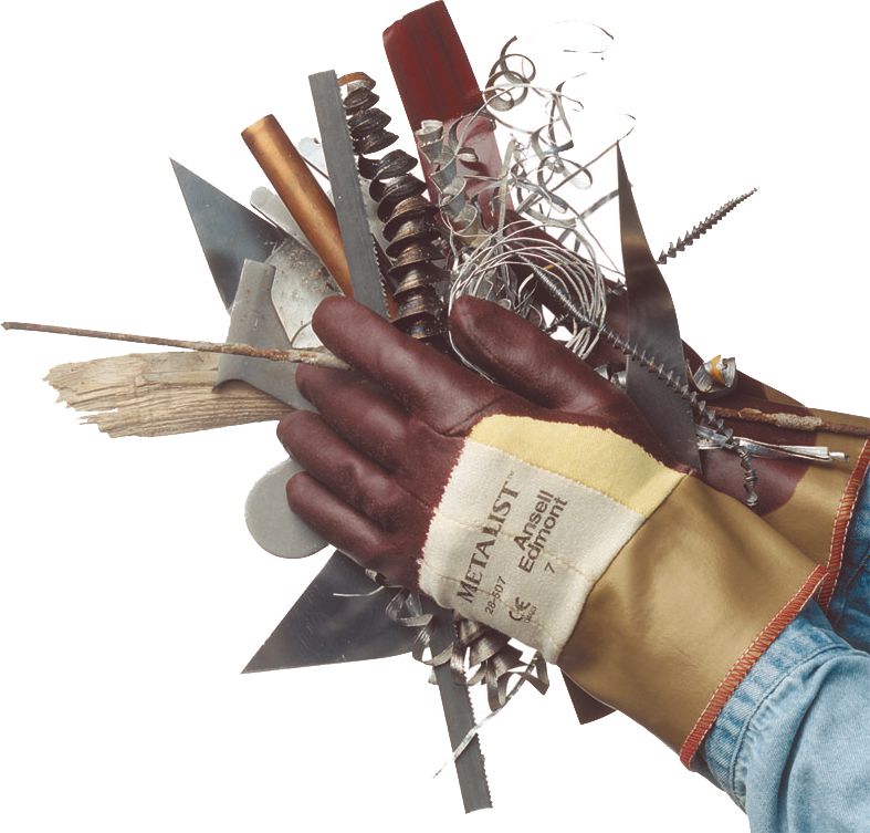 DV_ZoomOriginal_P_38633.jpg
