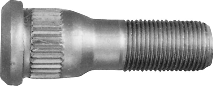 DV_ZoomOriginal_P_5208.jpg