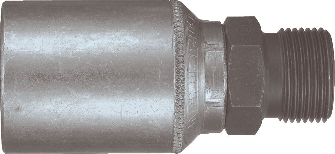DV_ZoomOriginal_P_6130.jpg
