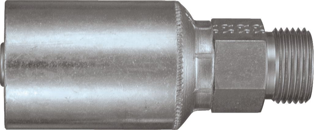DV_ZoomOriginal_P_6131.jpg