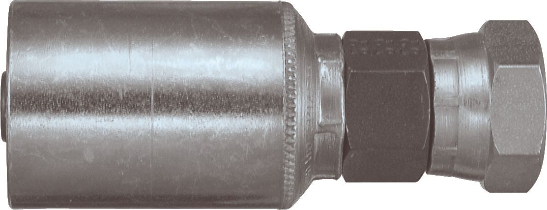 DV_ZoomOriginal_P_6138.jpg