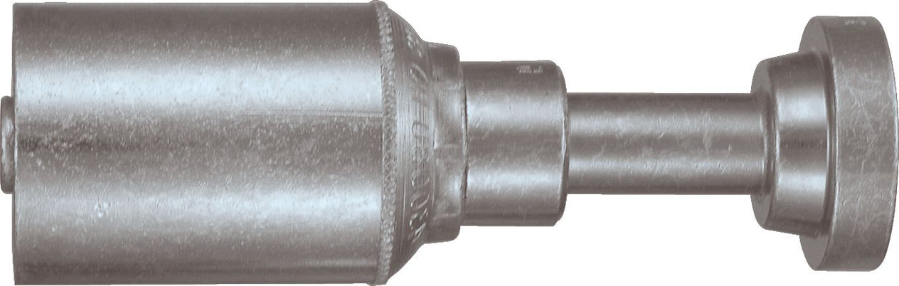 DV_ZoomOriginal_P_6142.jpg