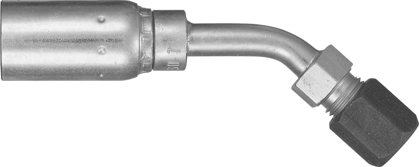 DV_ZoomOriginal_P_6200.jpg