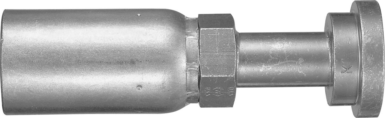 DV_ZoomOriginal_P_6216.jpg