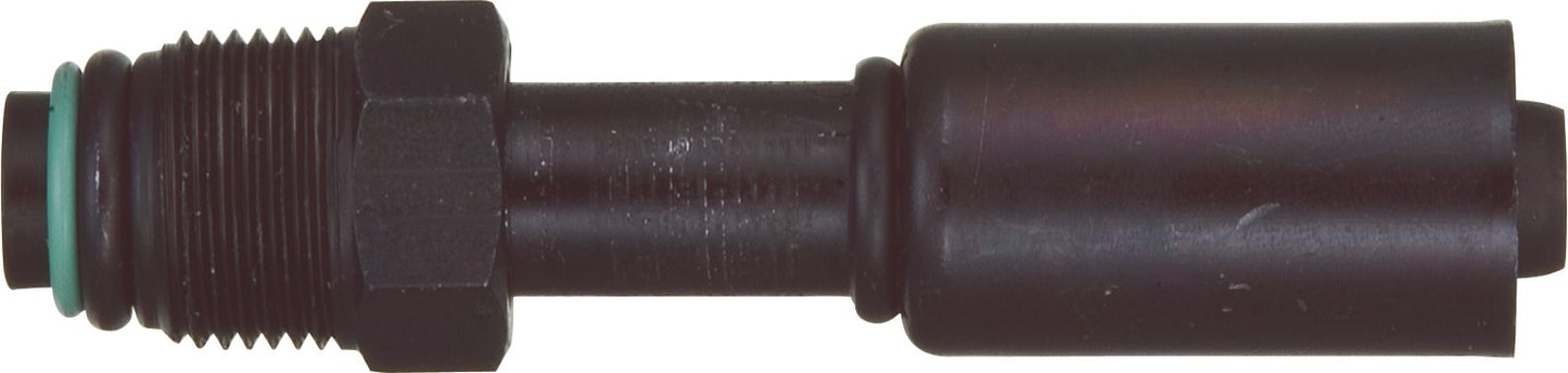 DV_ZoomOriginal_P_6231.jpg