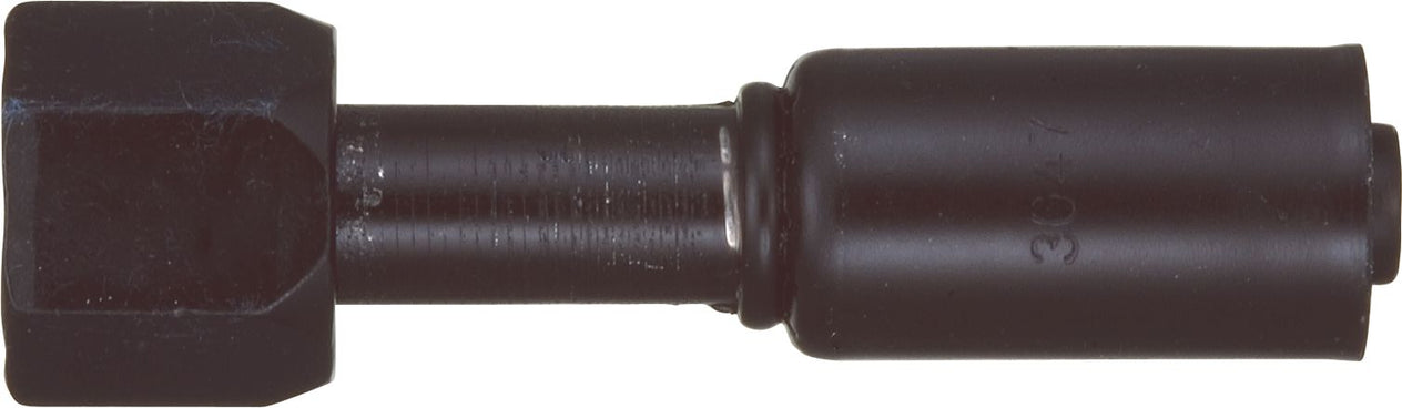 DV_ZoomOriginal_P_6235.jpg