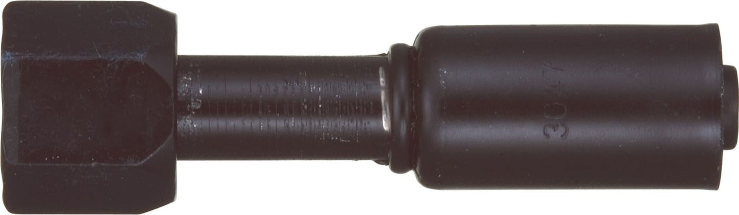 DV_ZoomOriginal_P_6235.jpg