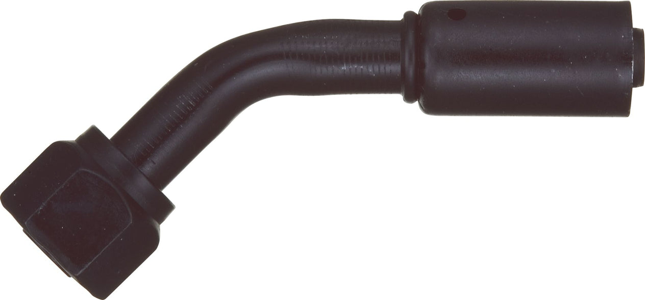 DV_ZoomOriginal_P_6238.jpg