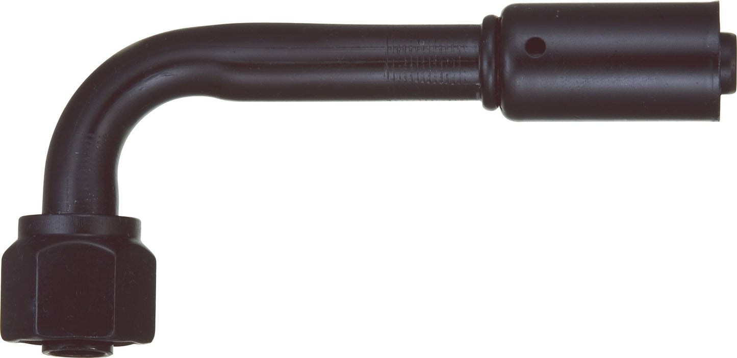 DV_ZoomOriginal_P_6241.jpg