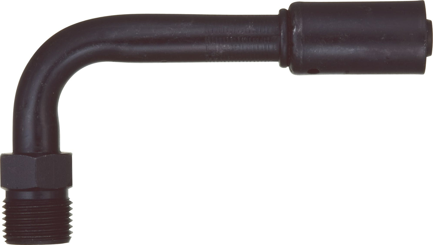 DV_ZoomOriginal_P_6243.jpg