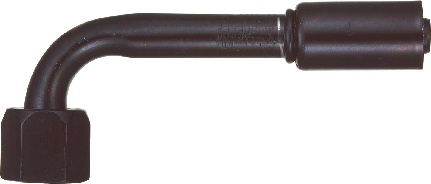 DV_ZoomOriginal_P_6246.jpg