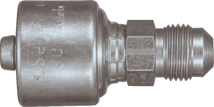 DV_ZoomOriginal_P_6281.jpg