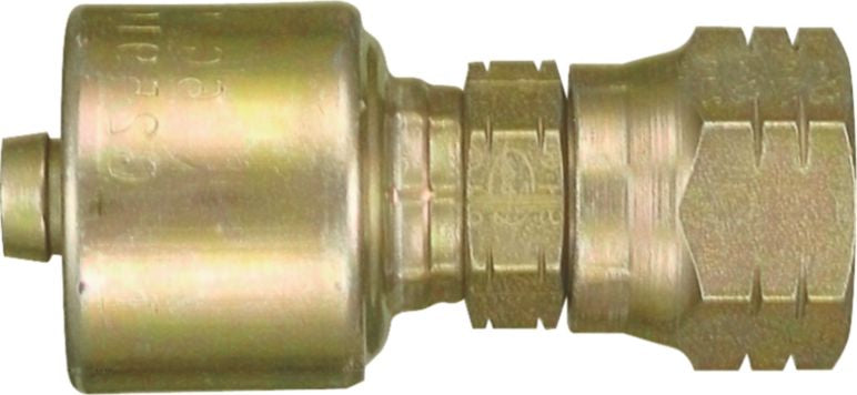DV_ZoomOriginal_P_6299.jpg