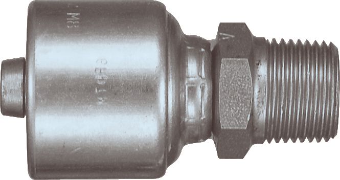 DV_ZoomOriginal_P_6301.jpg