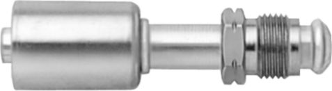 DV_ZoomOriginal_P_6344.jpg